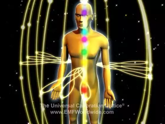 Your personal connection to the Universe - How to CoCreate a new reality