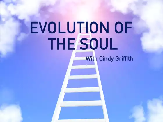Evolution of The Soul
