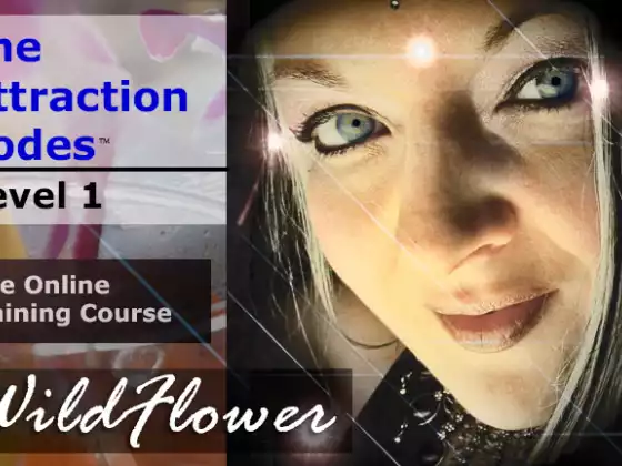 The Attraction Codes: Level 1 - Attune Yourself To Become An Abundance Magnet