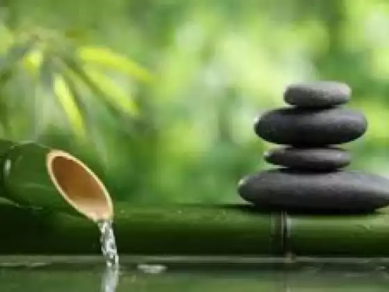 Intro To Tai Chi/Qigong