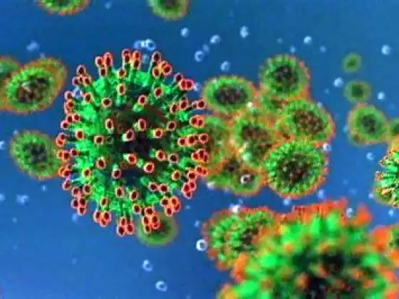 IMMUNE SYSTEM - COVID19