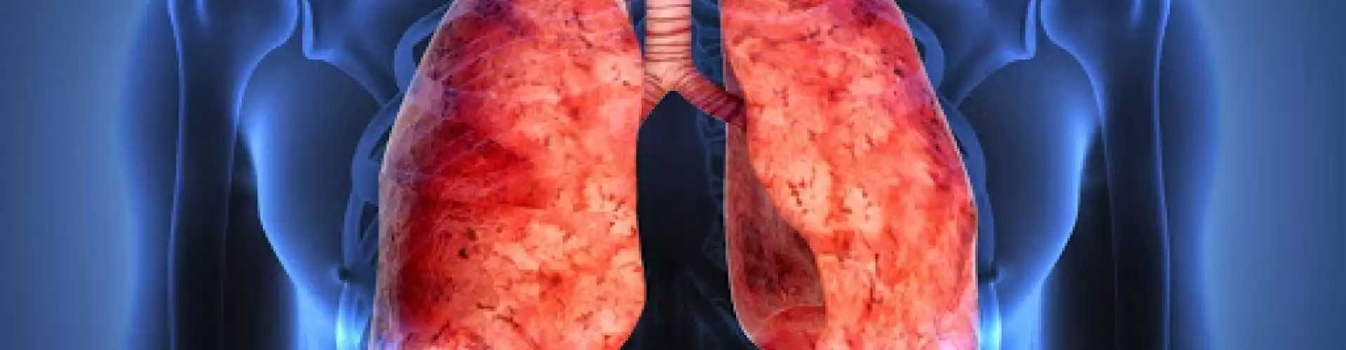 Salud Pulmonar - Online Class by Laura Llacuna