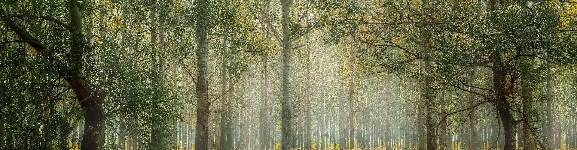 منی ریکی مراقبہ: گراؤنڈنگ