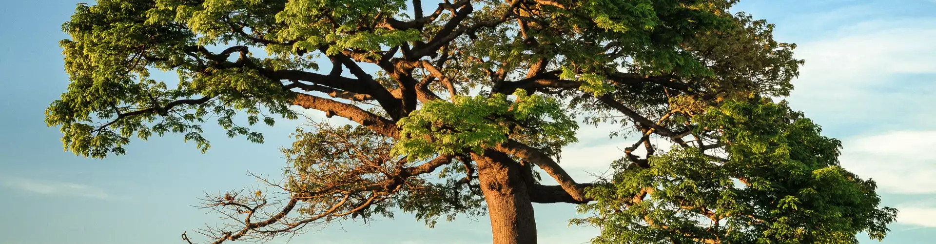 2023 ASAS POKOK - Kelas 1 - 2023 -2 - Online Class by John Keslick