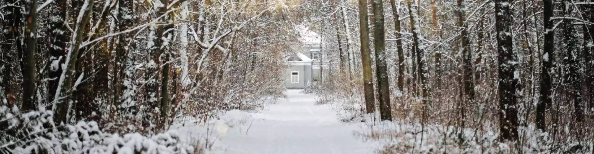 Церемонія зцілення енергією зимового сонцестояння