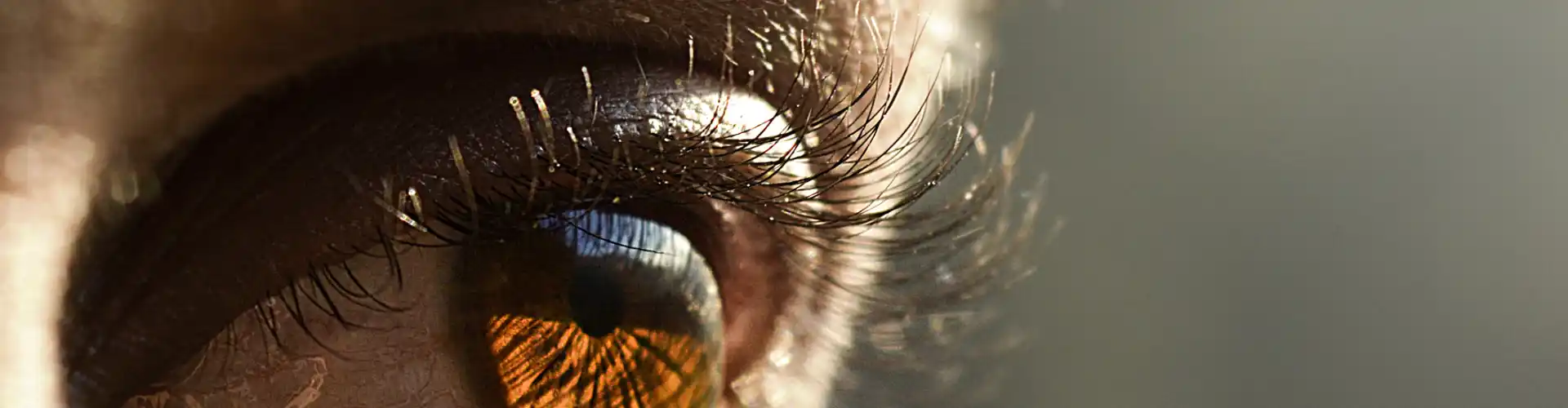 Embracing Your Inner Voice: Overcoming Negative Self-Talk and Cultivating Self-Compassion - Online Class by Stacy Besonen