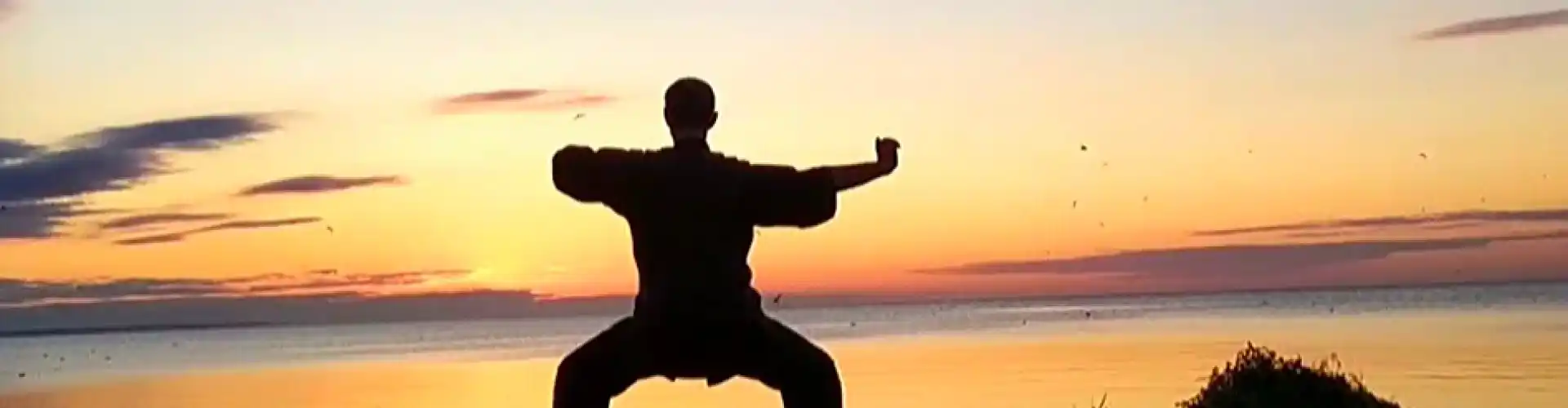 1 órás Qigong 8 selyembrokáttal  - Online Class by Cassaundra Paolini