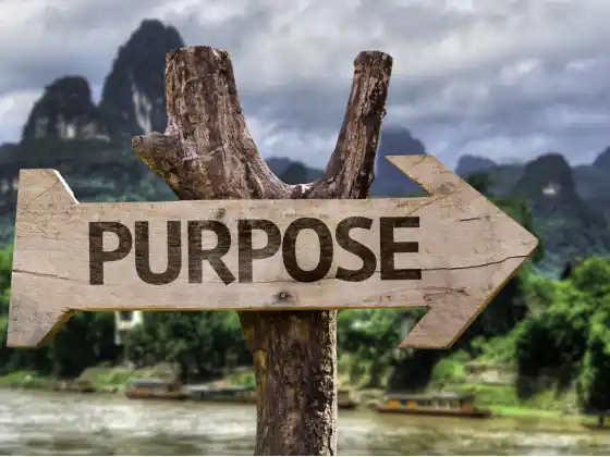 Life Purpose and Meaning
