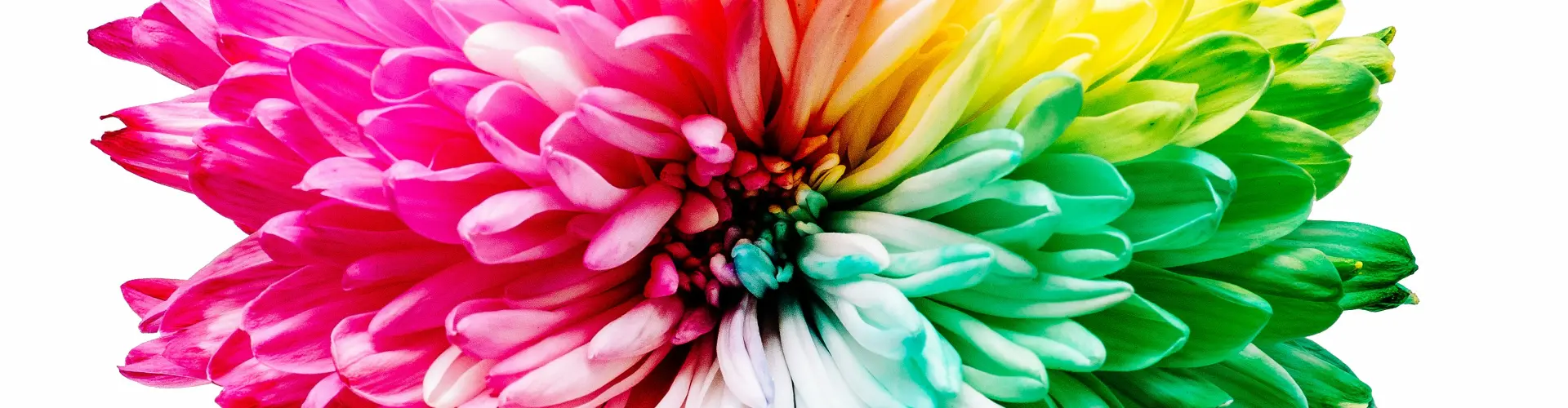 Sanación energética para nuestros chakras - Online Class by Ismene Manakas