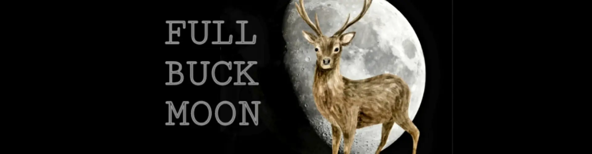 Full Moon Meditation - Online Class by Cassaundra Paolini