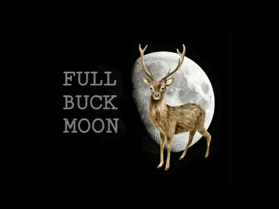 Meditasi Bulan Purnama