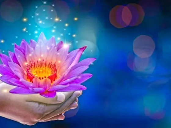 Reiki Level 3 Meisterwochenende