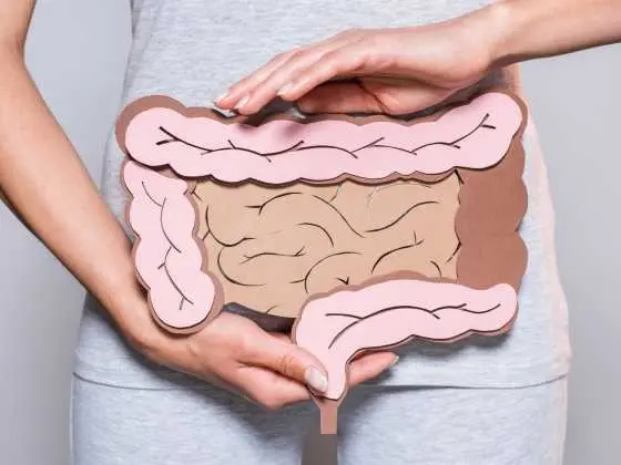 장 건강