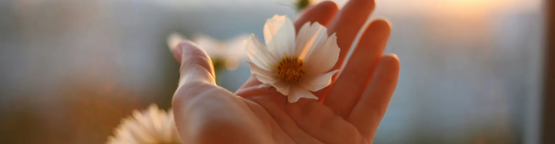 Cura Energética para Amor Próprio - Online Class by Ismene Manakas