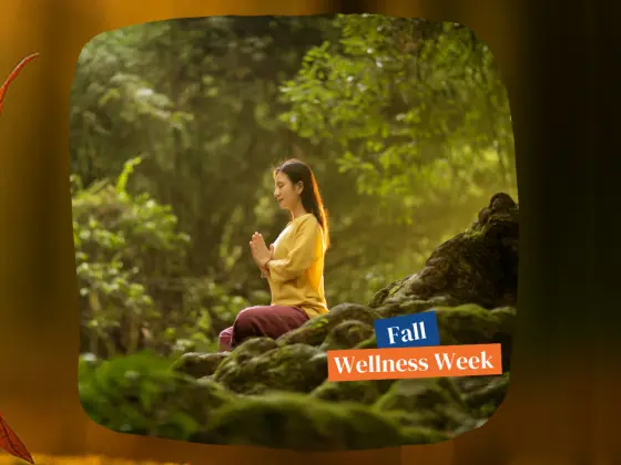 El abrazo del otoño: una meditación de Reiki para el equinoccio de otoño